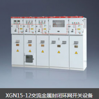 XGN15-12交流金属封闭环网开关设备