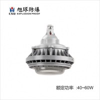 40w-60w免维护节能LED防爆灯
